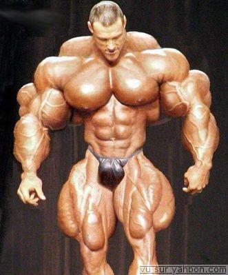 l homme le plus muscules